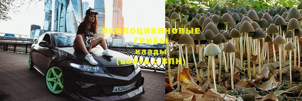 спиды Аркадак