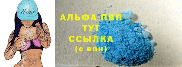спиды Аркадак