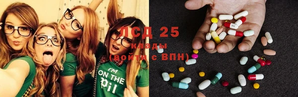 спиды Аркадак